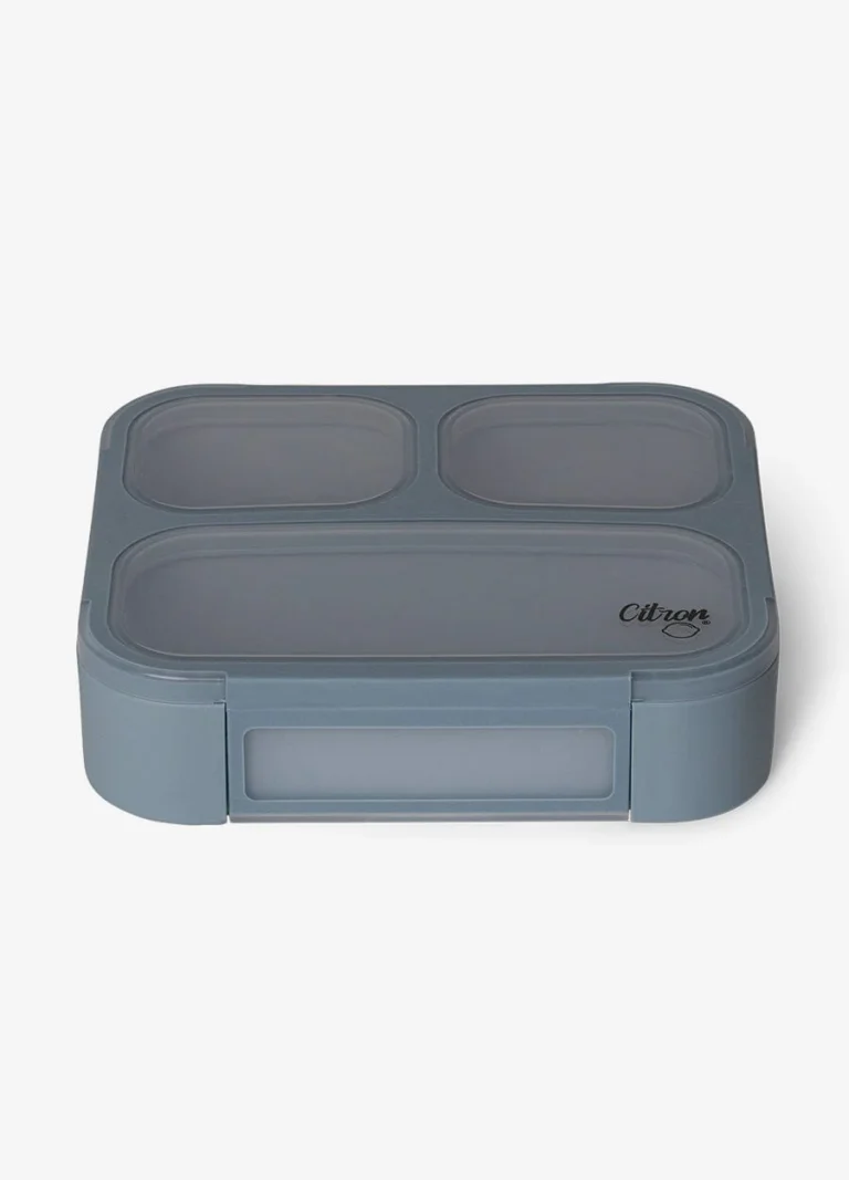 Why Bento Style Lunch Boxes For Kids Are A Parent’s Best Friend
