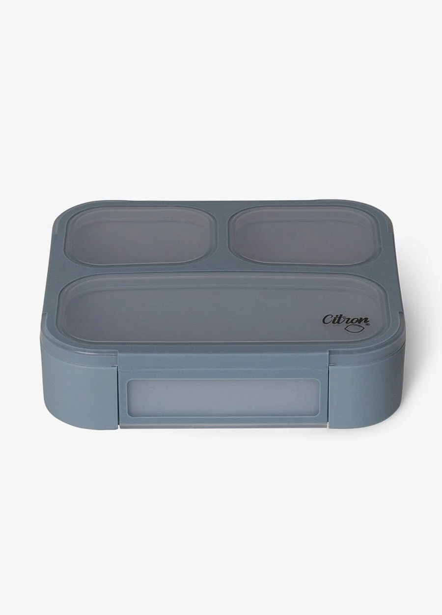 Why Bento Style Lunch Boxes For Kids Are A Parent’s Best Friend